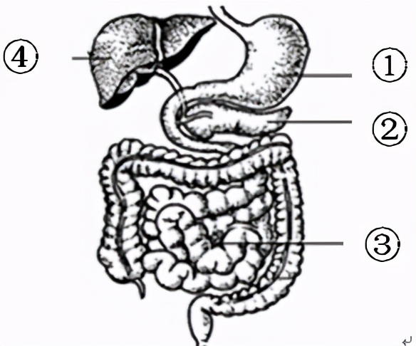临沂市生物实验操作考试视频,临沂物理实验操作考试试题