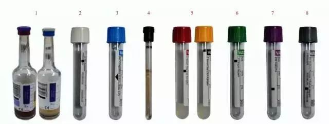 采血注意事项科普视频,采血时哪些项目要空腹采血