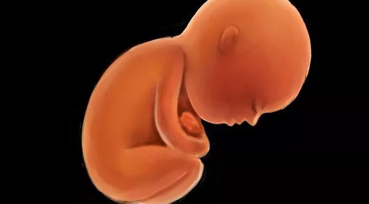 促甲状腺激素低是怎么回事严重吗,促甲状腺激素tsh偏低怎么恢复正常