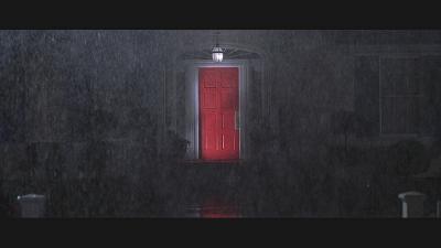 美国丽人风格,美国丽人美国风