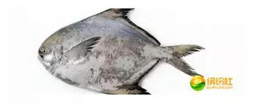 舟山海鲜攻略2天3晚吃什么,舟山海鲜代加工攻略