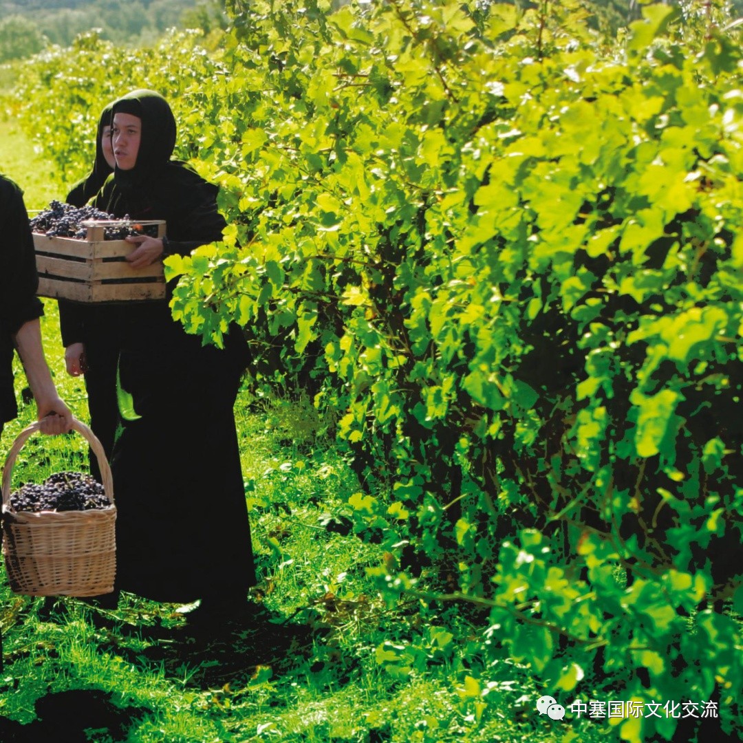 连巨星政要都亲睐的修道院葡萄酒庄你还不赶紧的｜尽在波黑福尔多