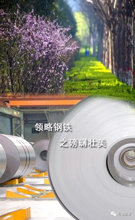 娌抽挗閭挗閾佽矾,娌抽挗閭挗楂樼倝