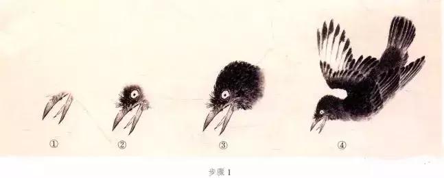 苏百钧工笔国画教学视频,苏百钧花鸟白描画稿