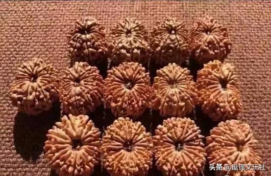 金刚手串捡漏,捡漏金刚菩提