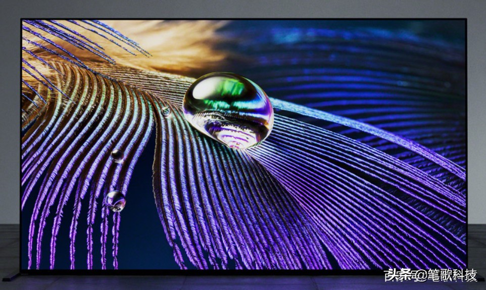 索尼a7m32870和尼康z524-70,索尼和尼康哪个相机更好一些