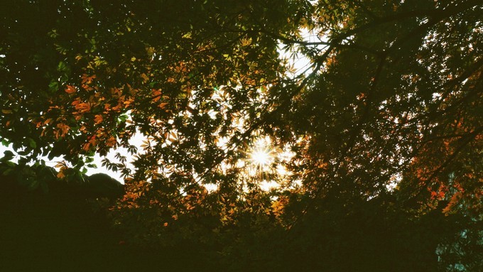 杭州西湖乌镇苏州南京上海攻略,天青色等烟雨乌镇旅游