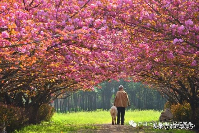 诗画鄠邑摄影大赛,鄠邑区诗画