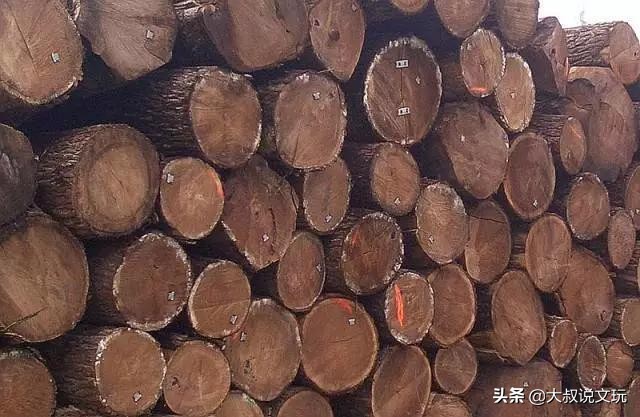 玩木头书籍,玩木头的