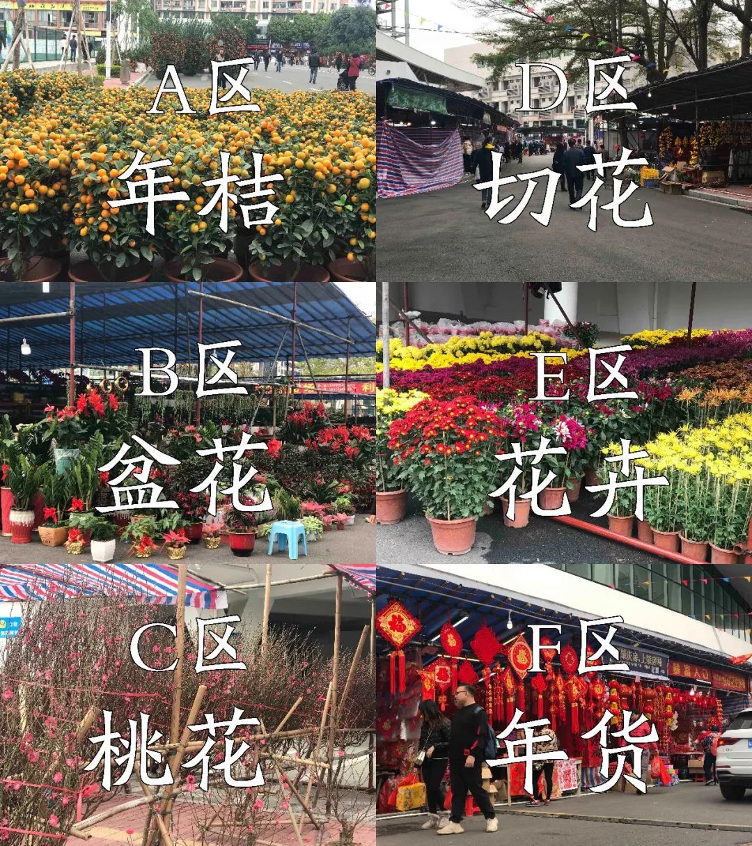 肇庆各区花市,2020肇庆市花市图片
