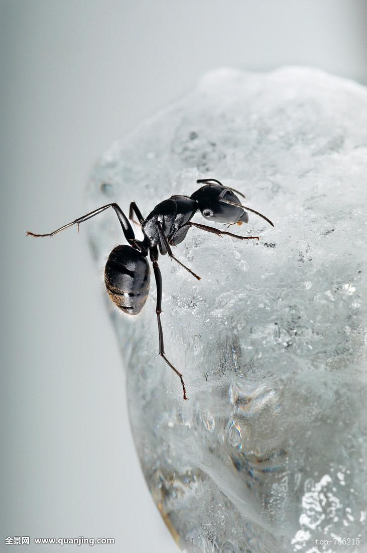 中国文化酒的别称，竟有285个，我又一次孤陋寡闻了