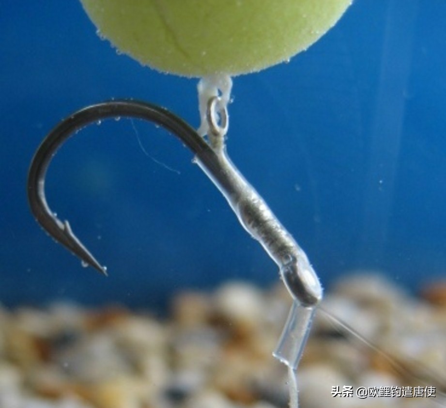 话说欧鲤钓最新消息,话说欧鲤钓鱼完整版