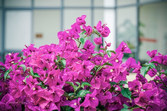 珠海横琴除了长隆还有什么东西玩,横琴有哪些景点可以玩儿