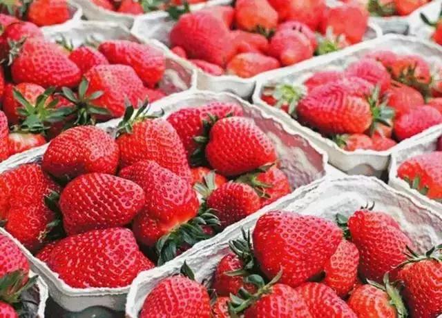 代购爆单预感！星巴克最新“猫耳杯”、“草莓收纳包”成超级网红