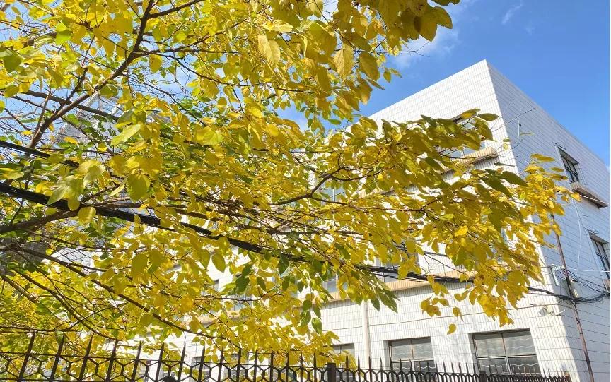 江苏省33所高校排名,江苏省300分大专院校