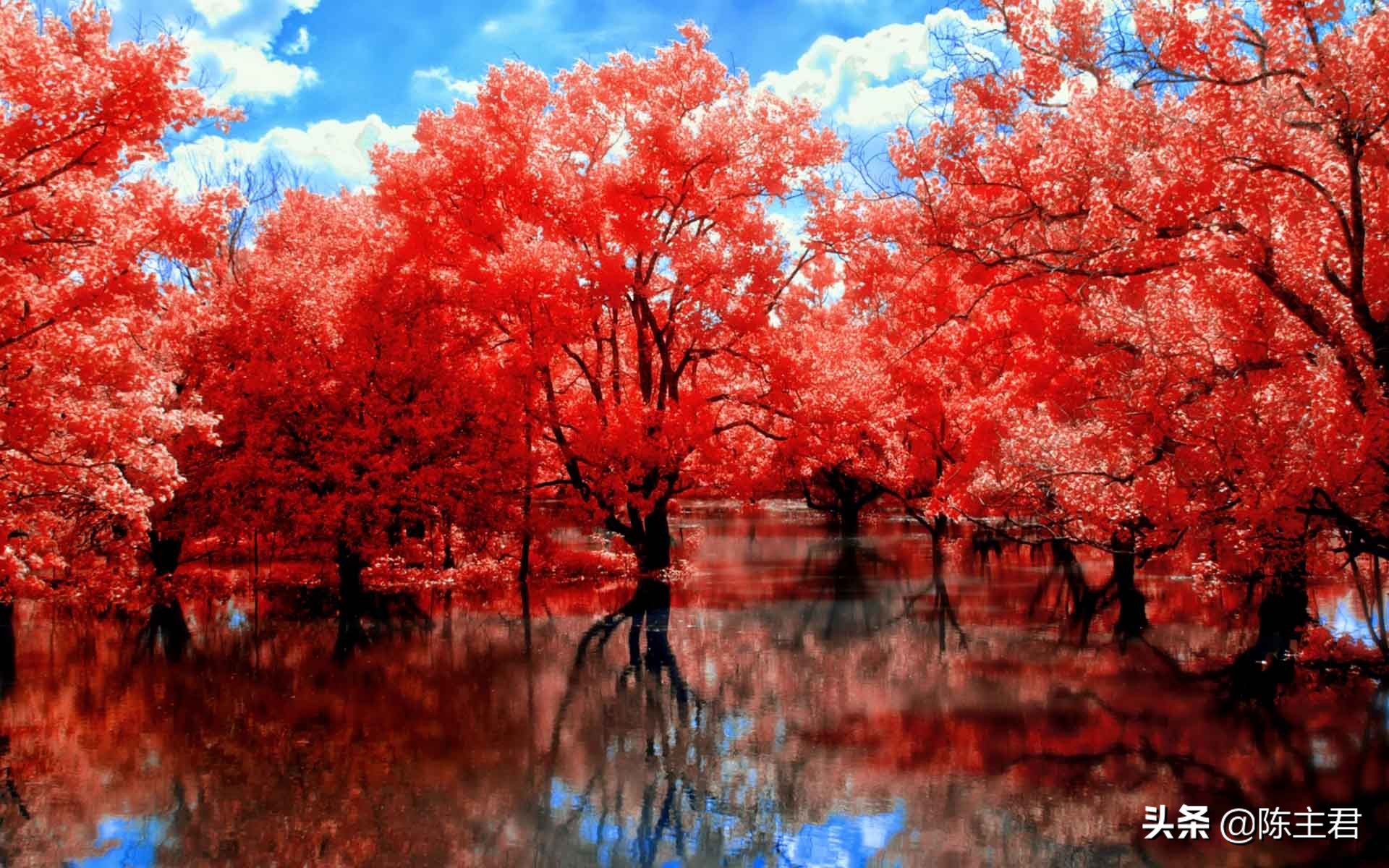 超美的风景壁纸,世界顶级绝美风景手机壁纸