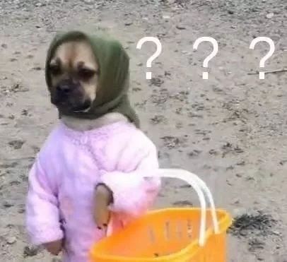 你们还记得你的第一个网名吗,还记得你用过的第一个网名吗