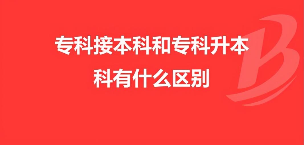 530分考生含泪直言，宁当“鸡头”不当“凤尾”，绝不报本科