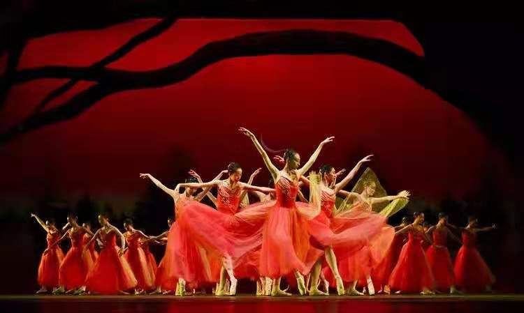 辽芭芭蕾舞学校,辽芭芭蕾舞团是什么学历