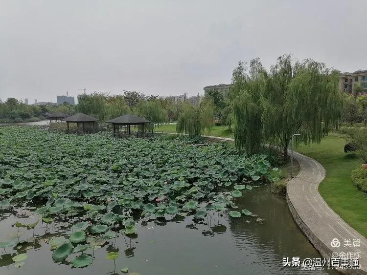 龙港世纪新城最新规划,龙港新城和世纪新城