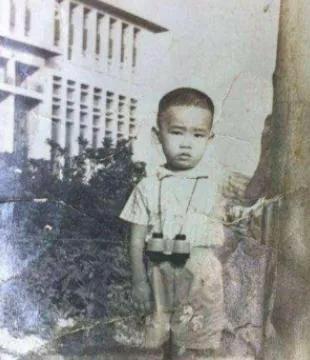 陈小春心路历程,陈小春捞金