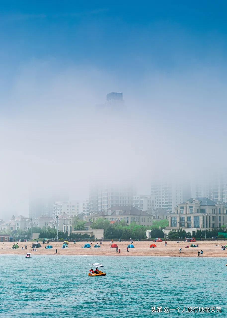 北方这座海滨老城，樱花不输日本，浪漫更胜巴黎