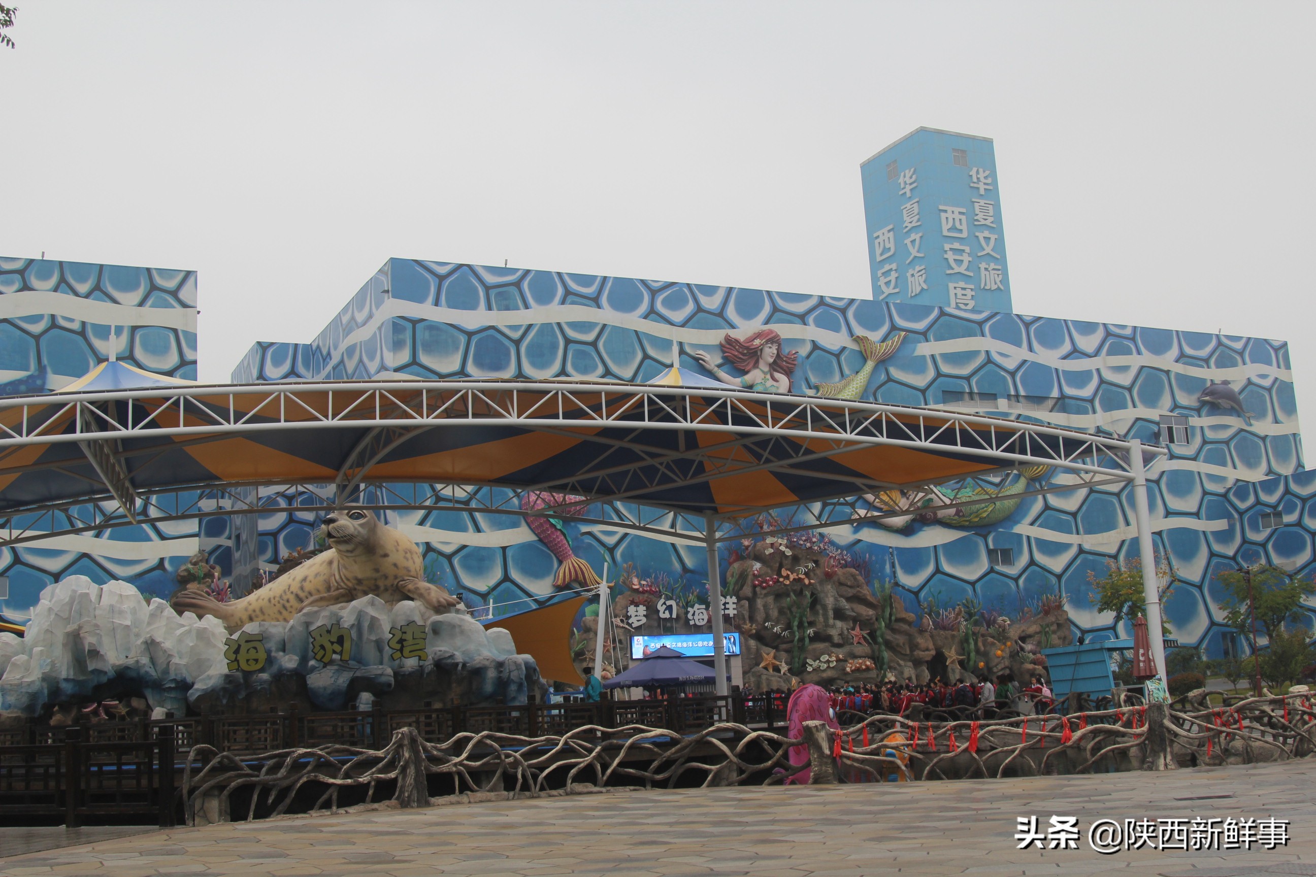 放飞海洋梦想感受丝绸传奇观后感,放飞海洋梦想感受丝路传奇研学题