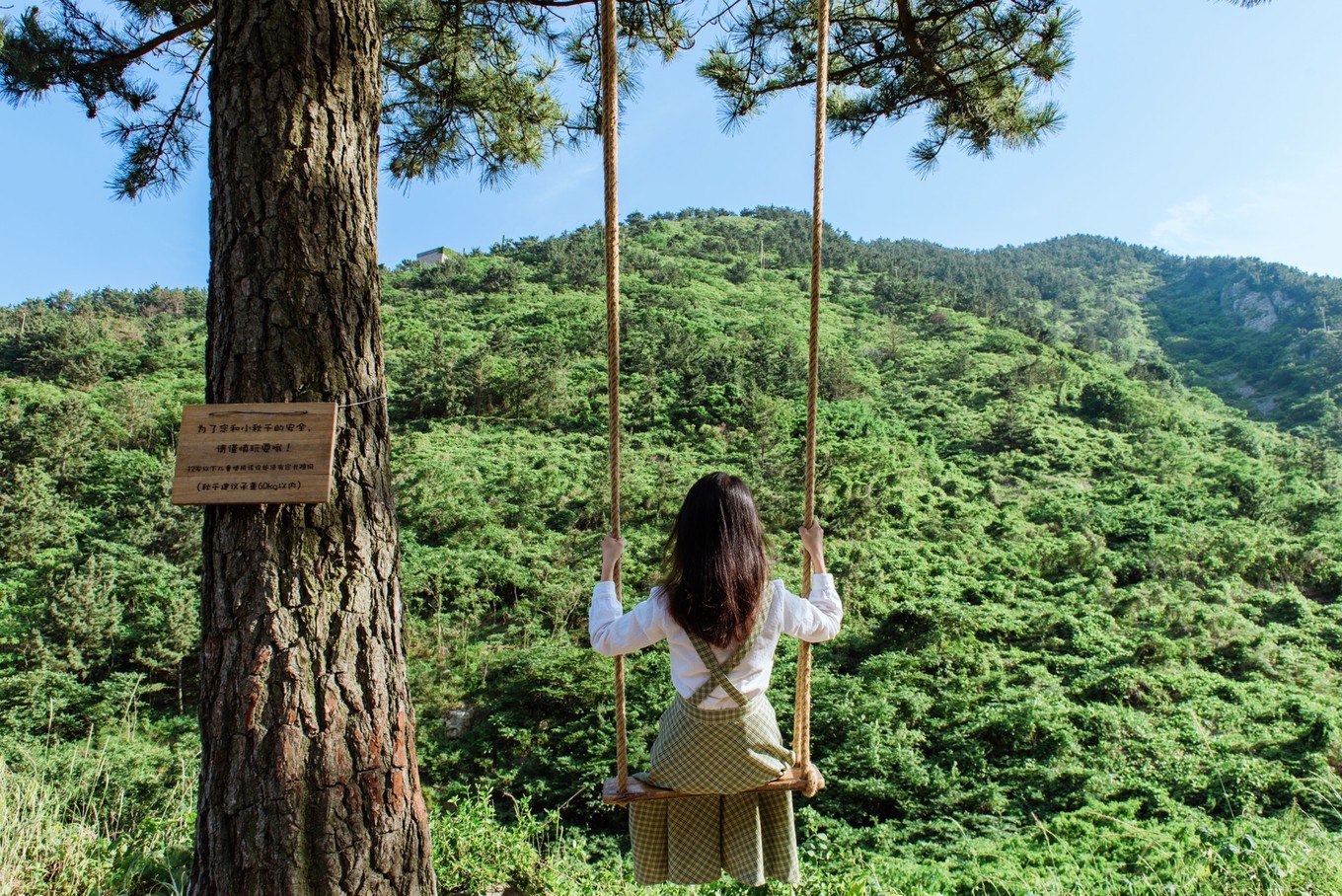 度假的袋鼠,青岛旅行的袋鼠