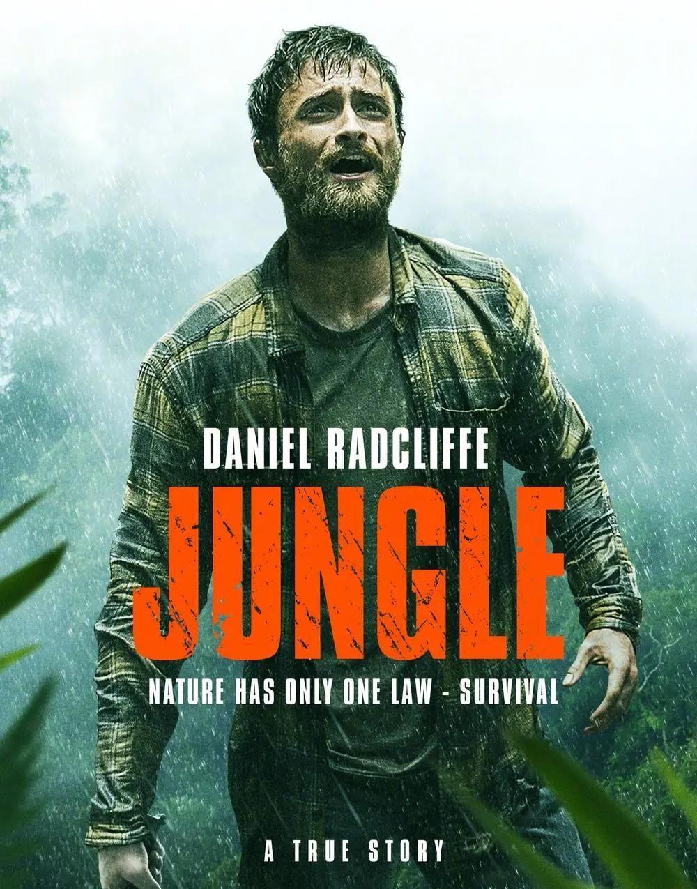 哈利波特今昔演员对比,哈利波特演员今昔对比生活