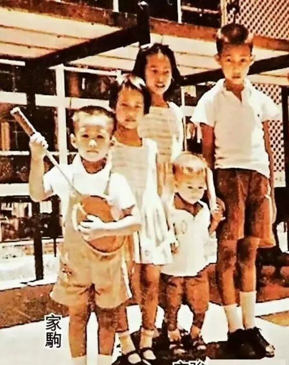 张雨生和黄家驹哪个更受欢迎,黄家驹真的爱你有多受欢迎