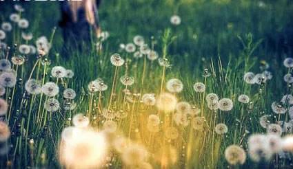 在中国电信上班做客服主要干什么,中国联通通信工程师是干什么的