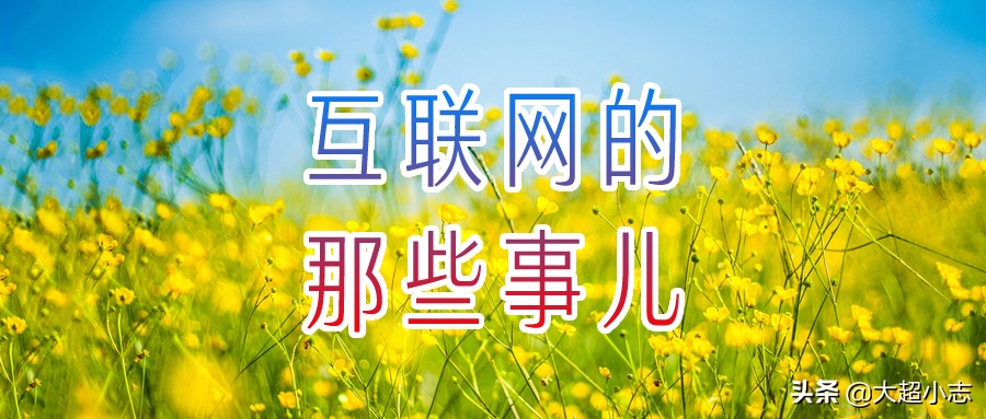 域名注册网站大全,个人网站免费域名注册