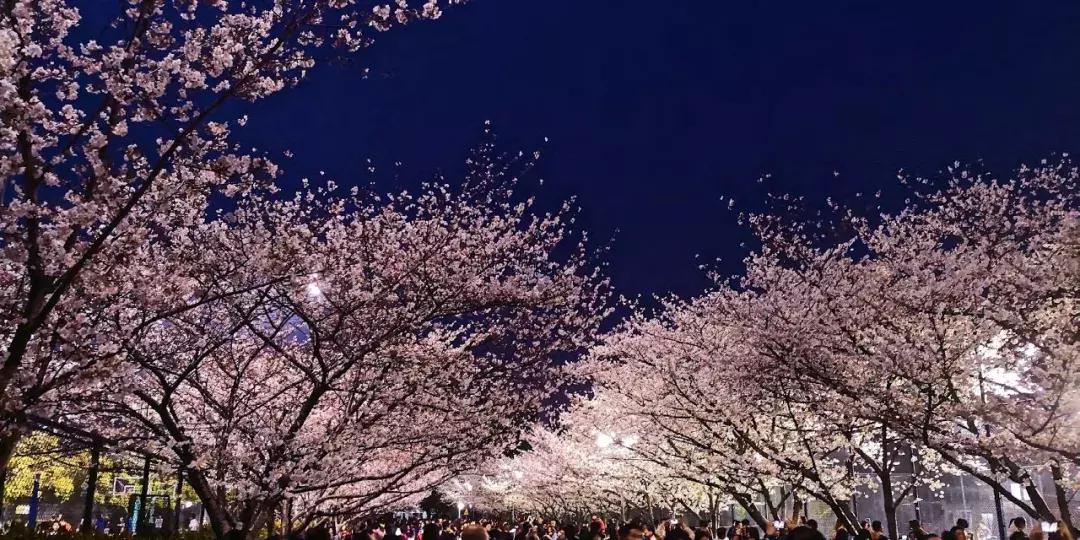 华为新影像大赛9张图,2019华为新影像大赛