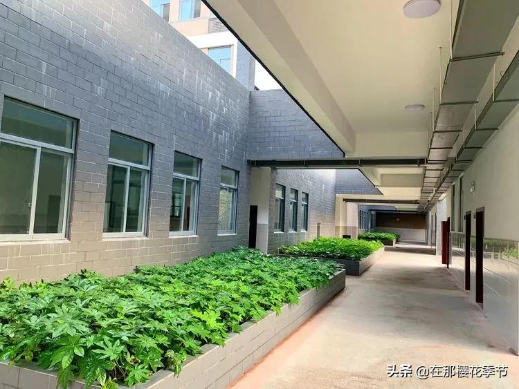 赣县稀金二小教学质量,赣县区稀金第二小学学费