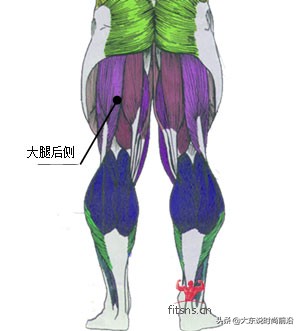 减脂健身计划一周表,减脂健身计划一周表图