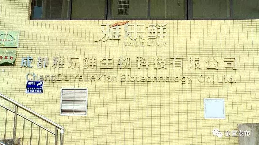 对外交通70年，金堂人霸气“出走”