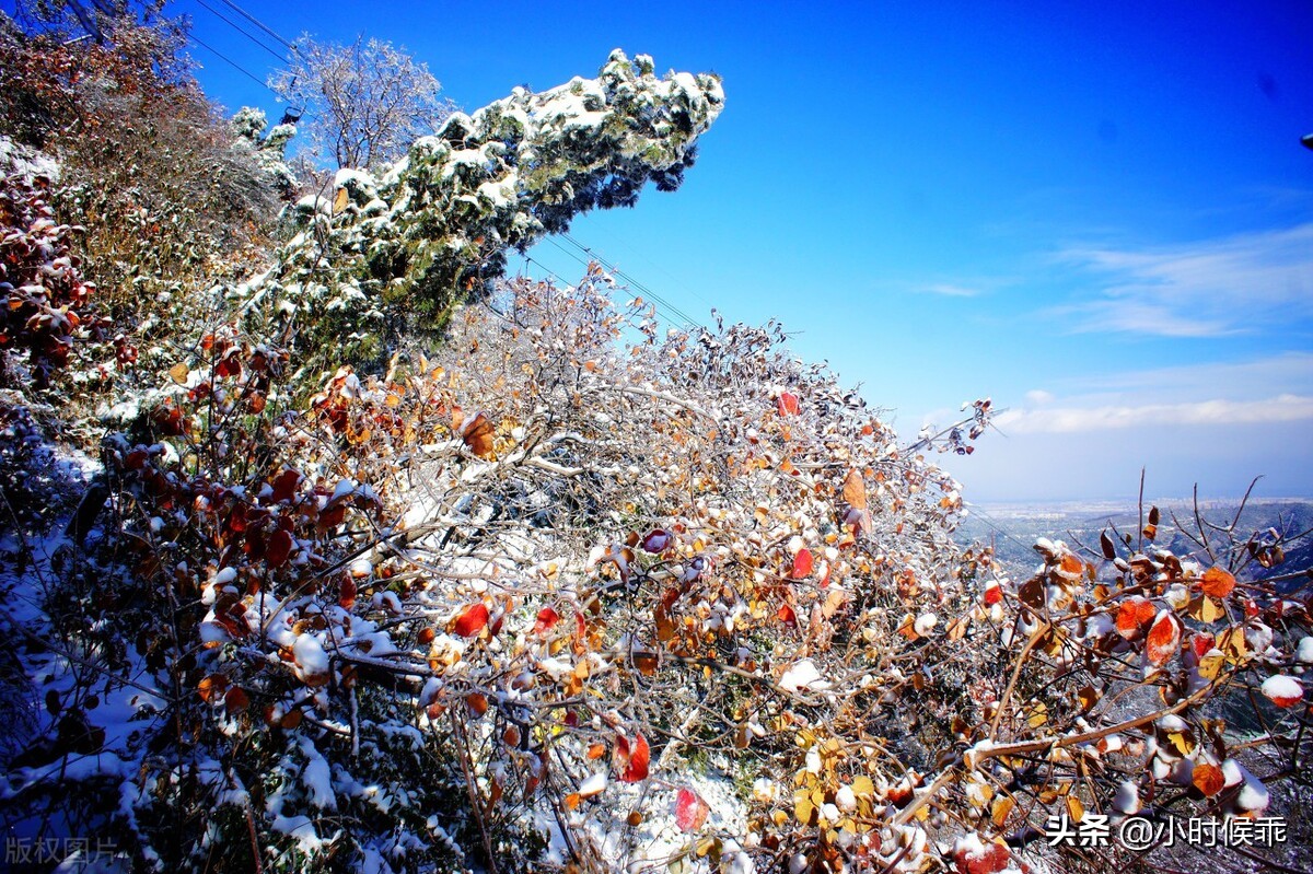 阅读理解练习推荐初中,初中记叙文阅读理解技巧