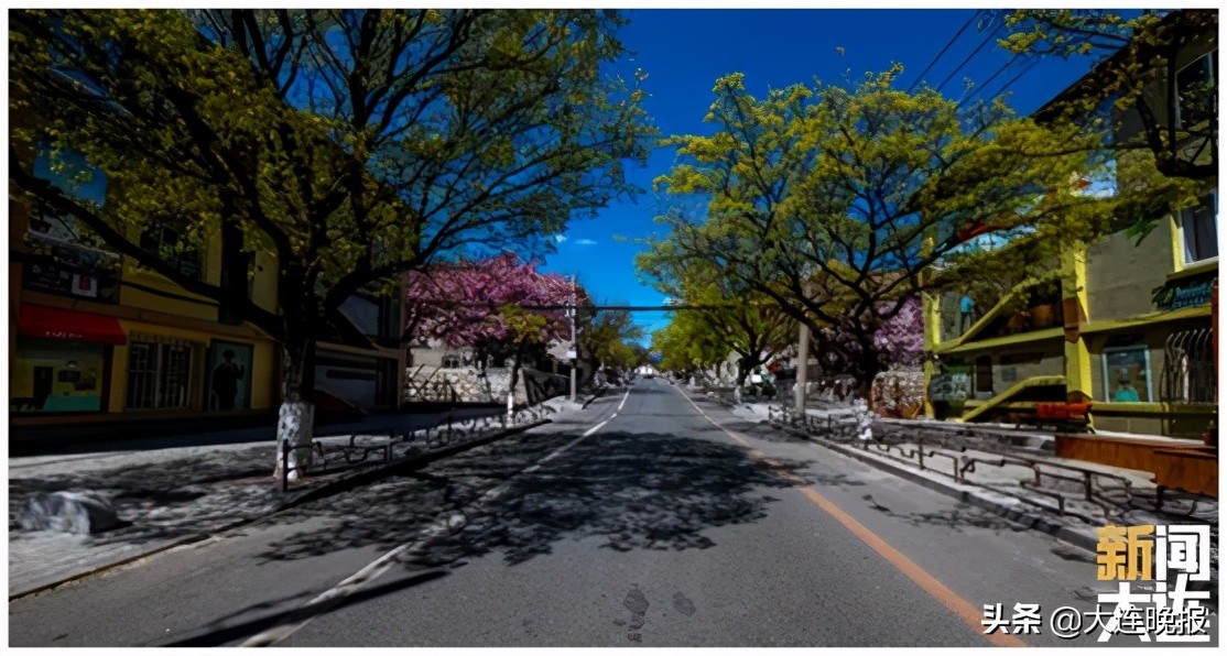 五一近郊游打卡甘井子,大连甘井子五一去哪玩