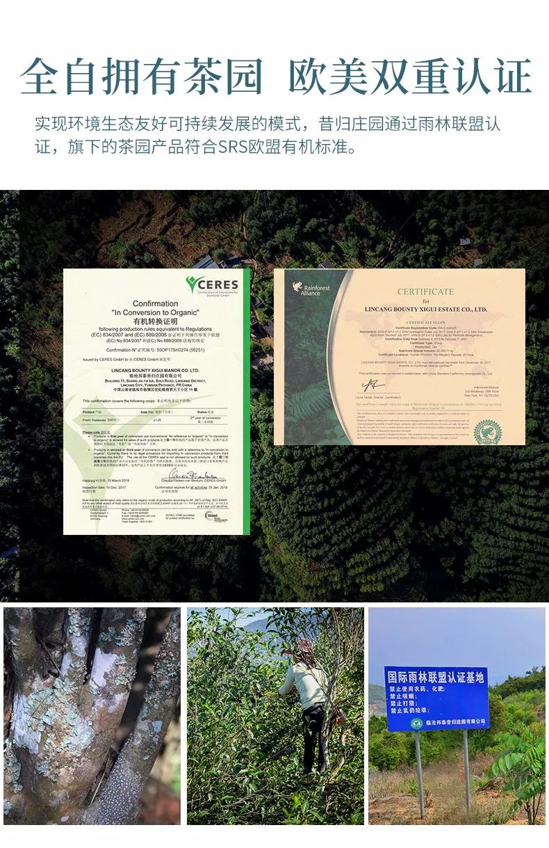 不一样厦门茶博会,厦门茶博会