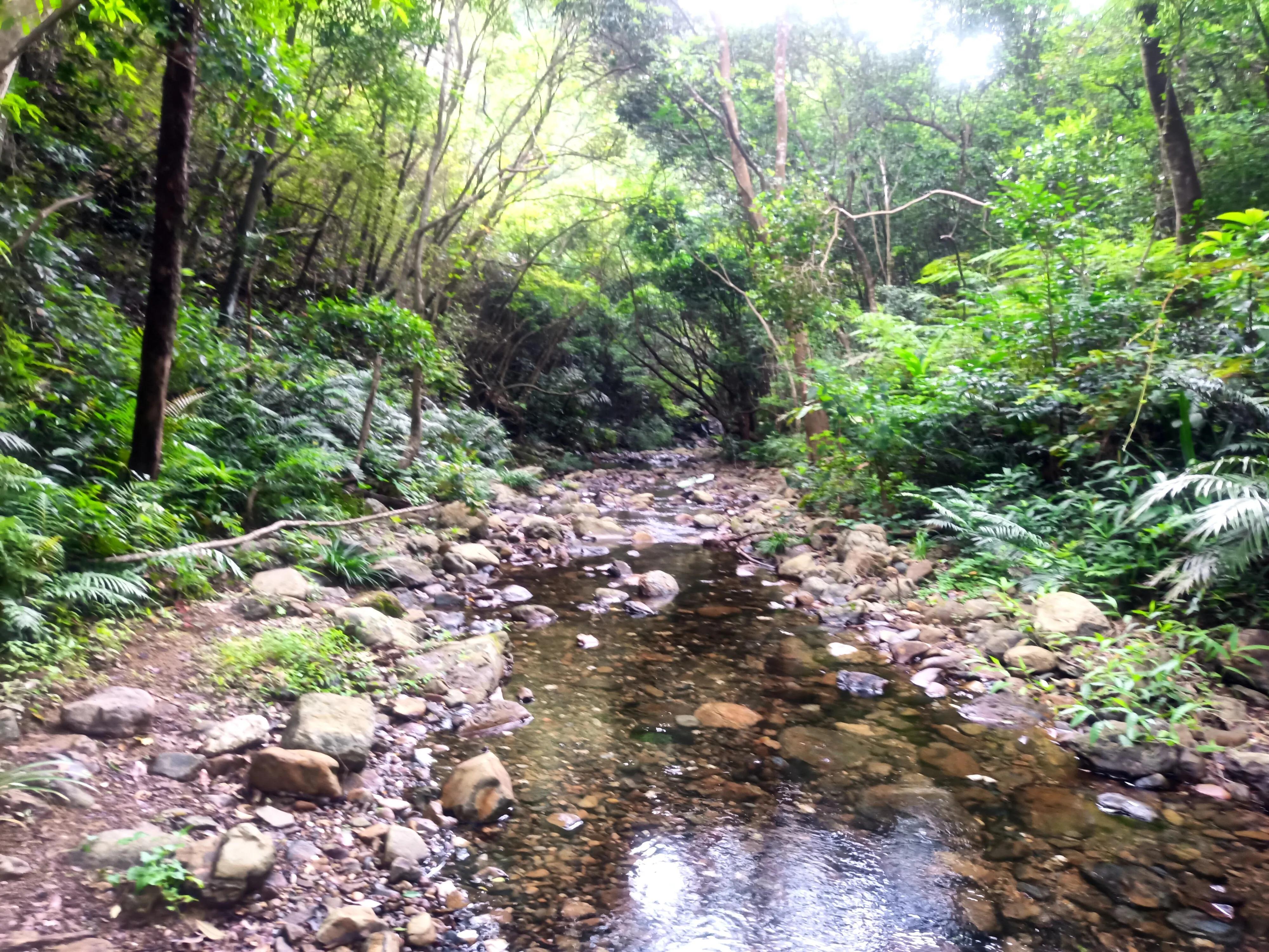 情人谷深圳,深圳情人谷绝情谷