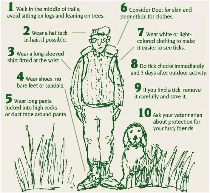 当心！假期出游警惕身体出现这样的小红点，严重或可致命