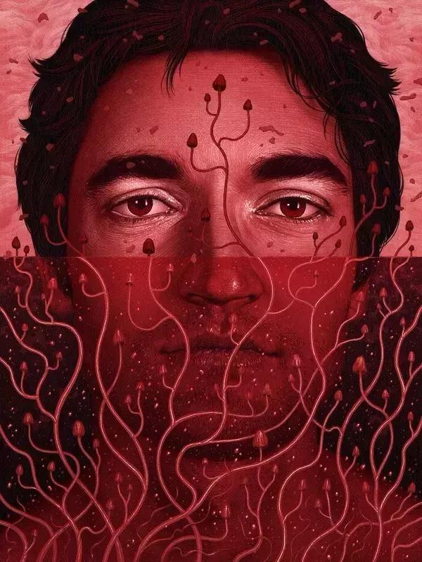 平面设计用什么软件自己接单,平面设计用什么软件做效果图