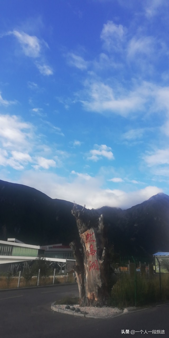 茂名骑行*藏西**：然乌到波密，松林间骑行是一种享受