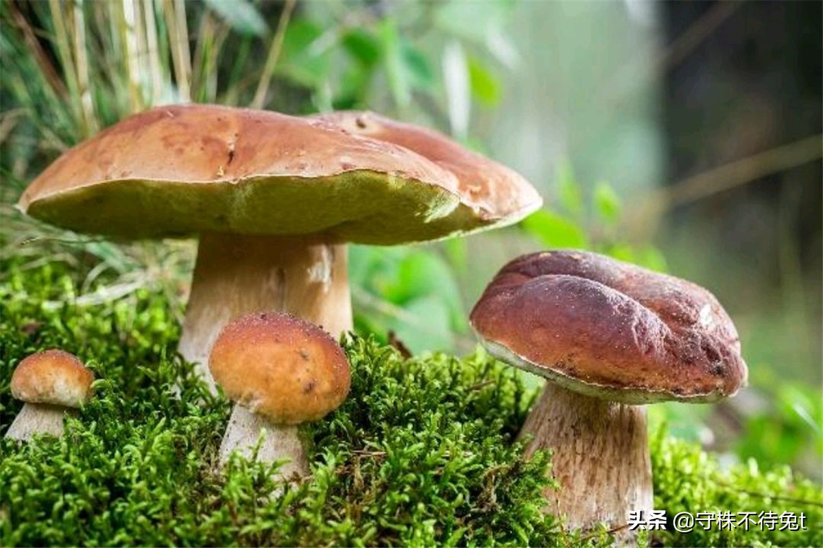 女性10个冷知识大全,100个冷知识女生