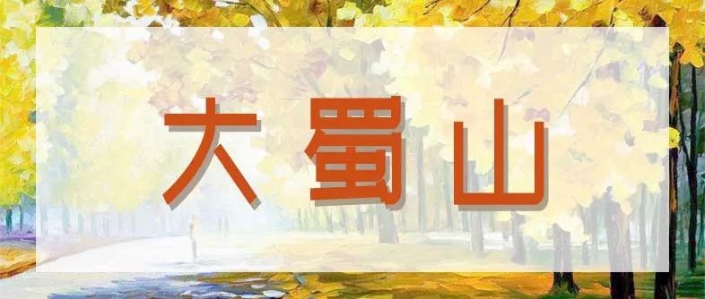 合肥秋季风景打卡地方排行榜,合肥最值得打卡地