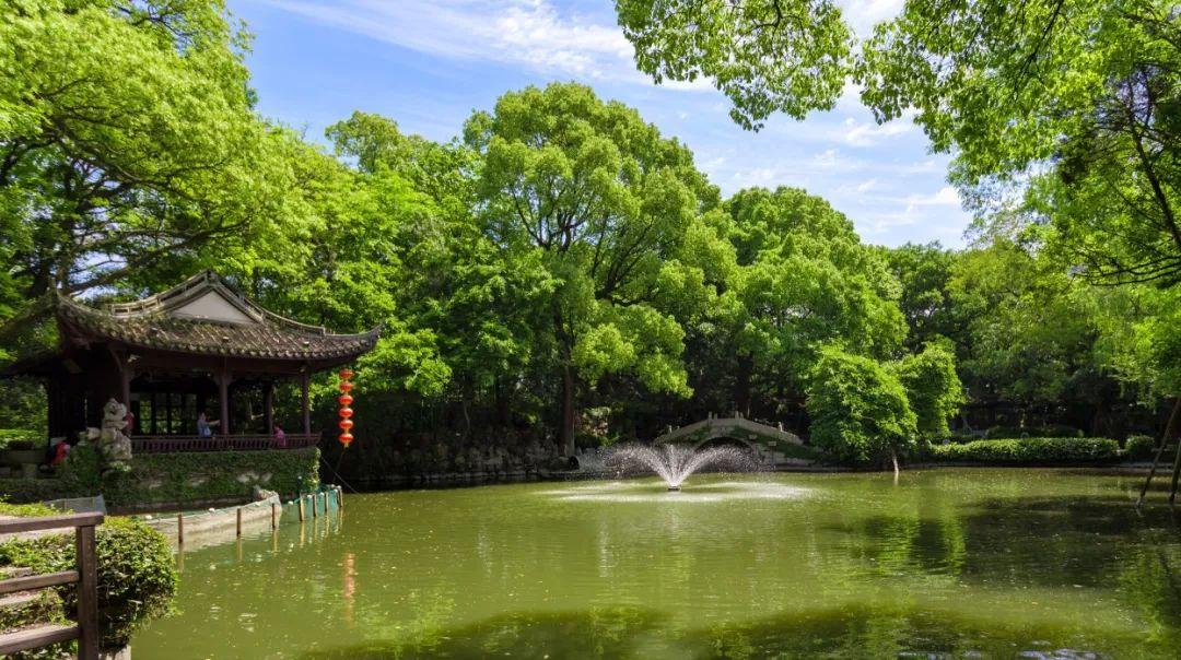 致敬最美逆行者活动效果,致敬各类最美逆行者