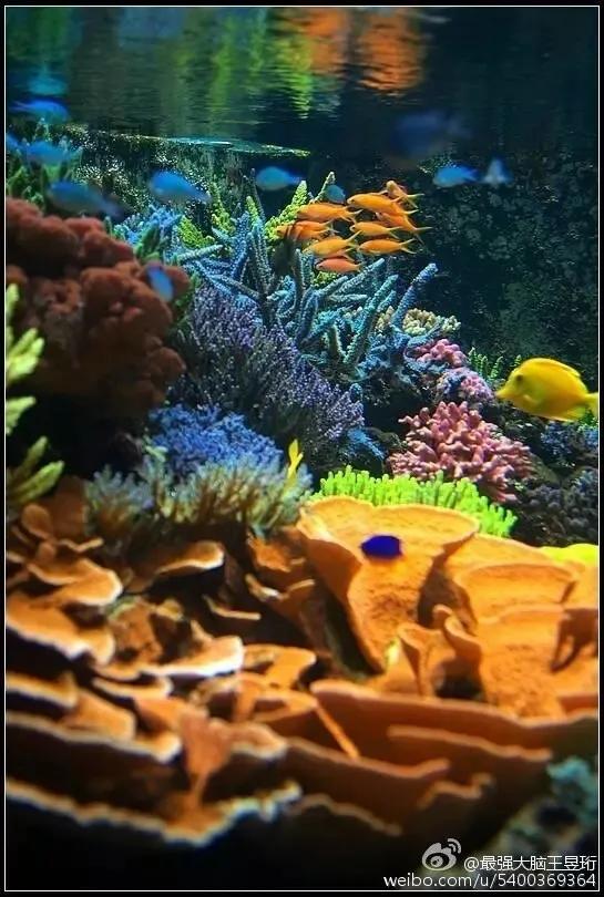 王昱珩上学经历,清华毕业的王昱珩