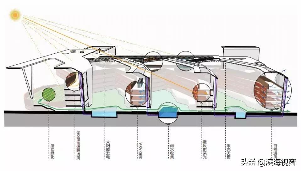赞!新区这所新建校太炫酷,地下设专门接送学生车道