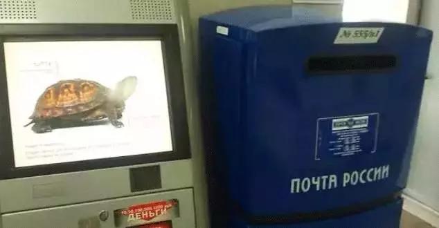 中国给外国寄快递一般需要多久,中国有多好