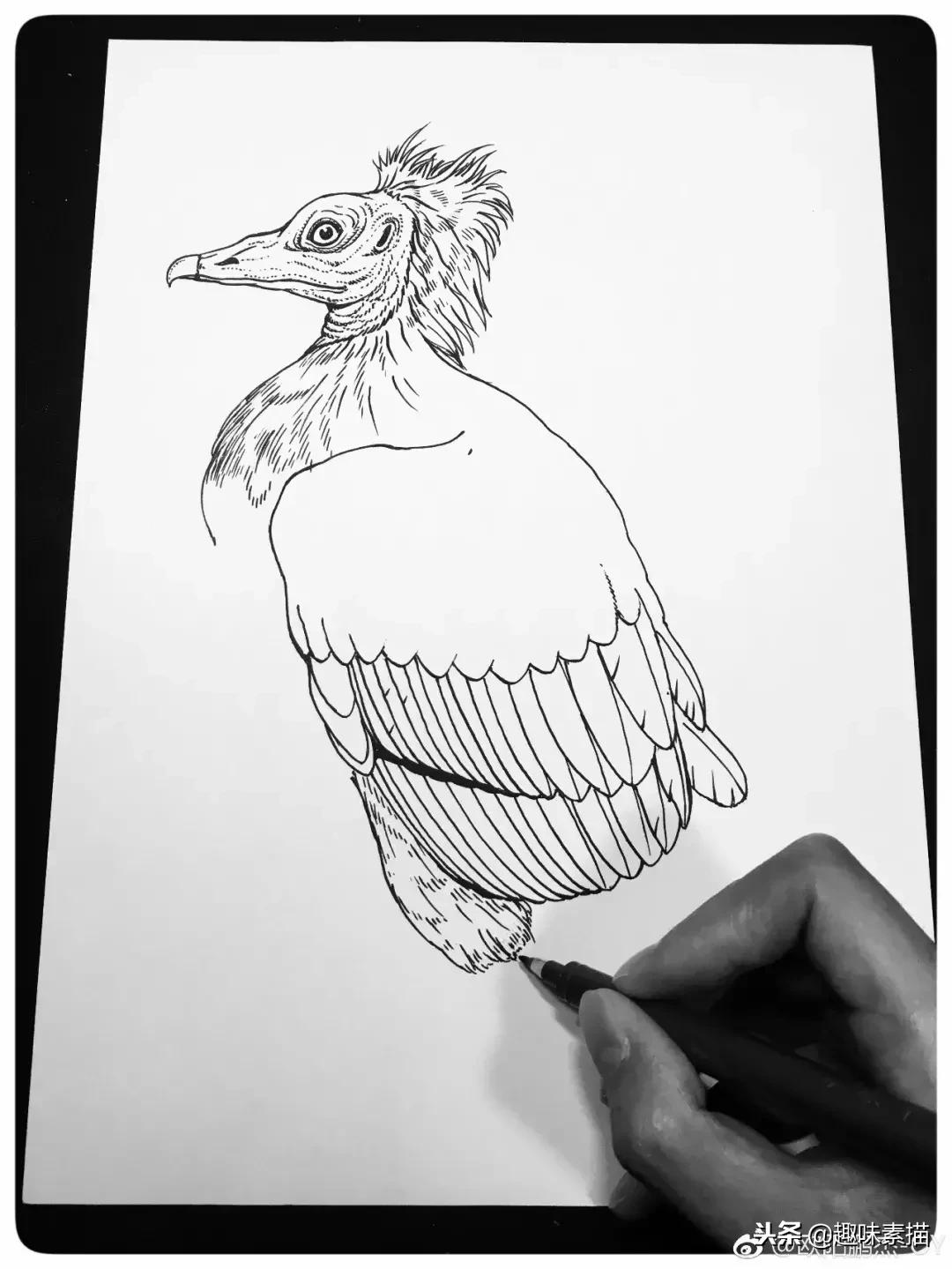 针管笔教程超适合初学者的笔,零基础针管笔教学